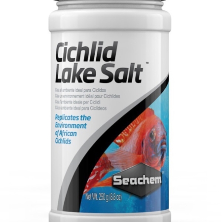 cichlid lake salt